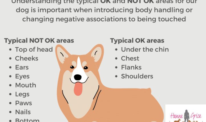 The Map of the Dog - an article about body handling