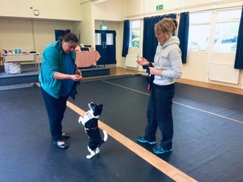 Hanne with a client and her dog in a training session