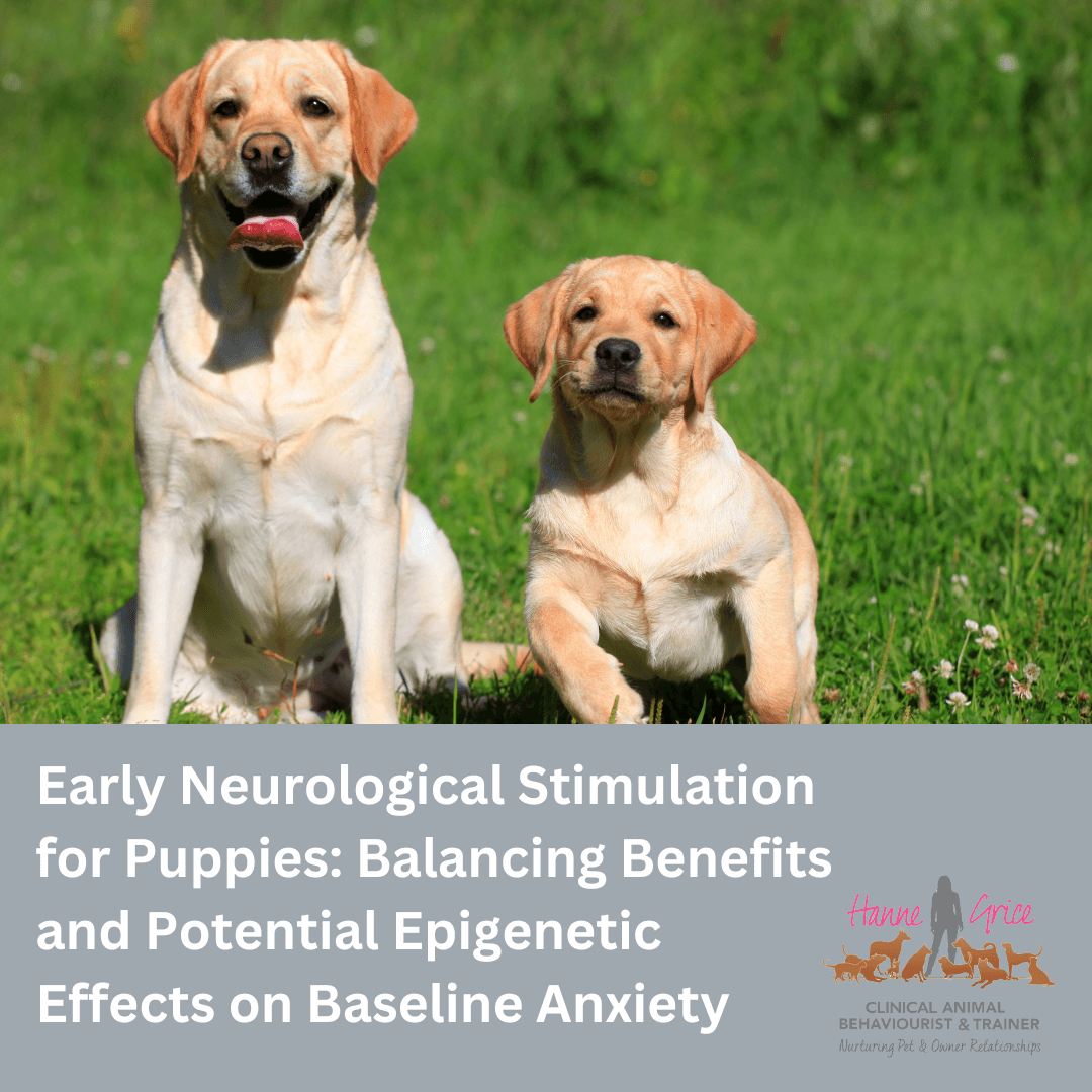 Early Neurological Stimulation for Puppies The Pros and Cons Hanne