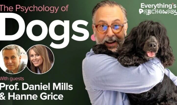 Everything’s Psychology podcast thumbnail for The Psychology of Dogs, featuring Paul Davies with a black dog and guest portraits of Professor Daniel Mills and Hanne Grice.