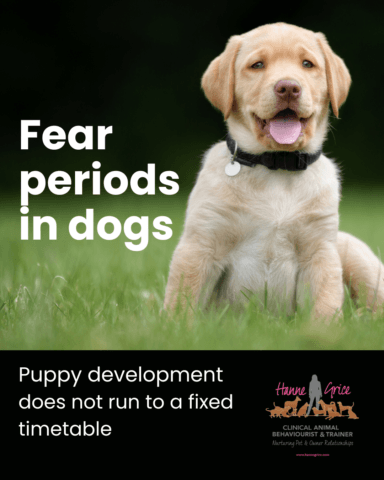 Puppy sitting in grass with the text “Fear periods in dogs” and “Puppy development does not run to a fixed timetable”.