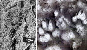 Footprints-Found-Alongside