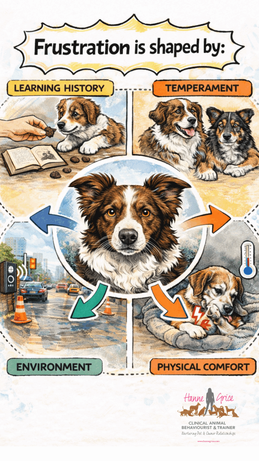 Science of Connection – the Frustration Threshold - Hanne Grice Pet ...