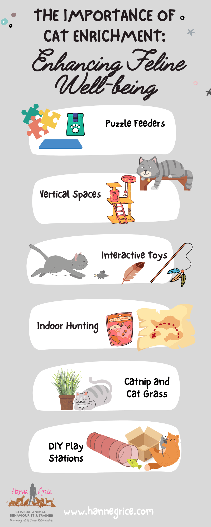 The Importance of Cat Enrichment: Enhancing Feline Well-being - Hanne Grice Pet Training & Behaviour